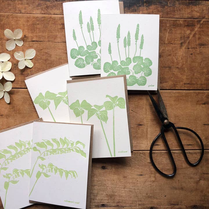 Forest Wildflower Card Set - 6 letterpress cards for wholesale by Ratbee Press