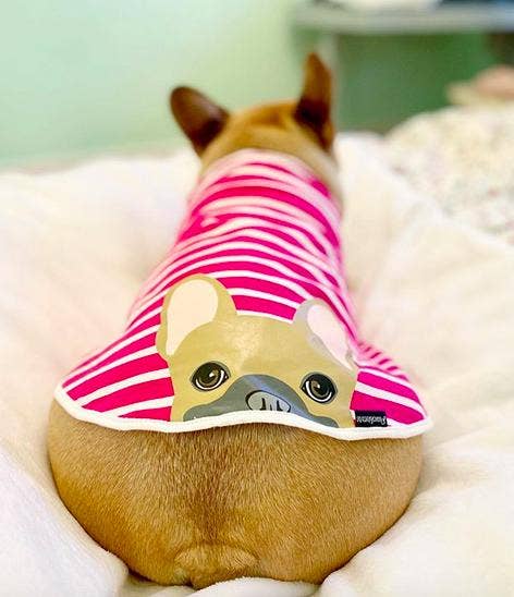 Frenchiestore - Wholesale Pet Shirt - Dog - Frenchie Shirt | Fawn French Bulldog in Bubble Gum1