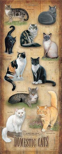 Art Brand Studios - Wholesale Sign - Domestic Cats ID Chart 30"x12" Wood Sign0