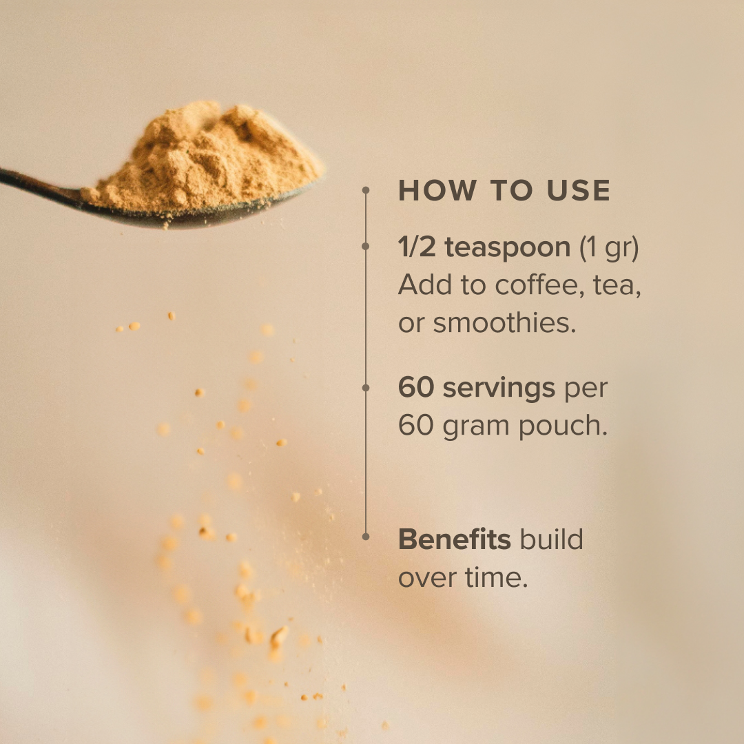 Bloomable Natural Products - Vente Poudres protéinées/superaliments - Poudre d'extrait de champignon Cordyceps (60 gr)2