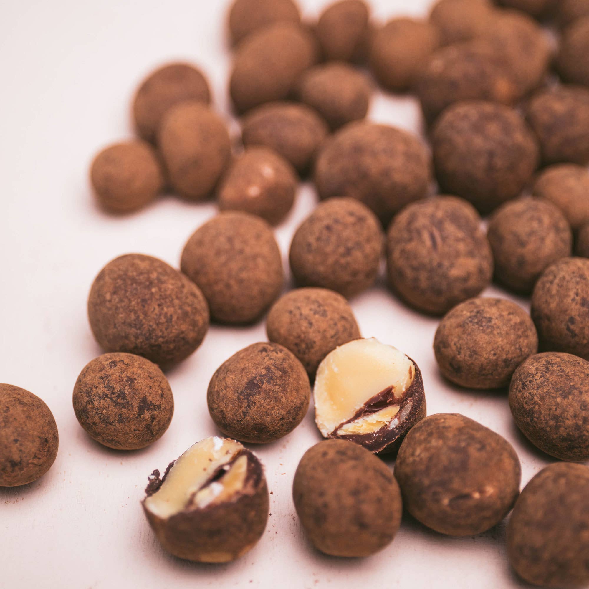 Crow & Moss Chocolate - Vendita all'ingrosso Dolci ricoperti di cioccolato - Noci di Macadamia Ricoperte di Cioccolato - Confezione da 61