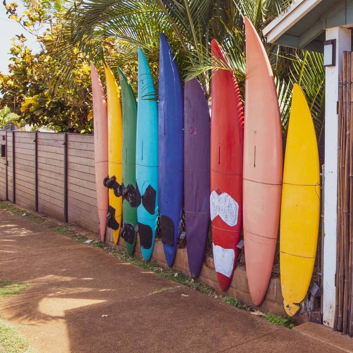 Black & White Palms Towel for wholesale by Angelina Hills Art Photography