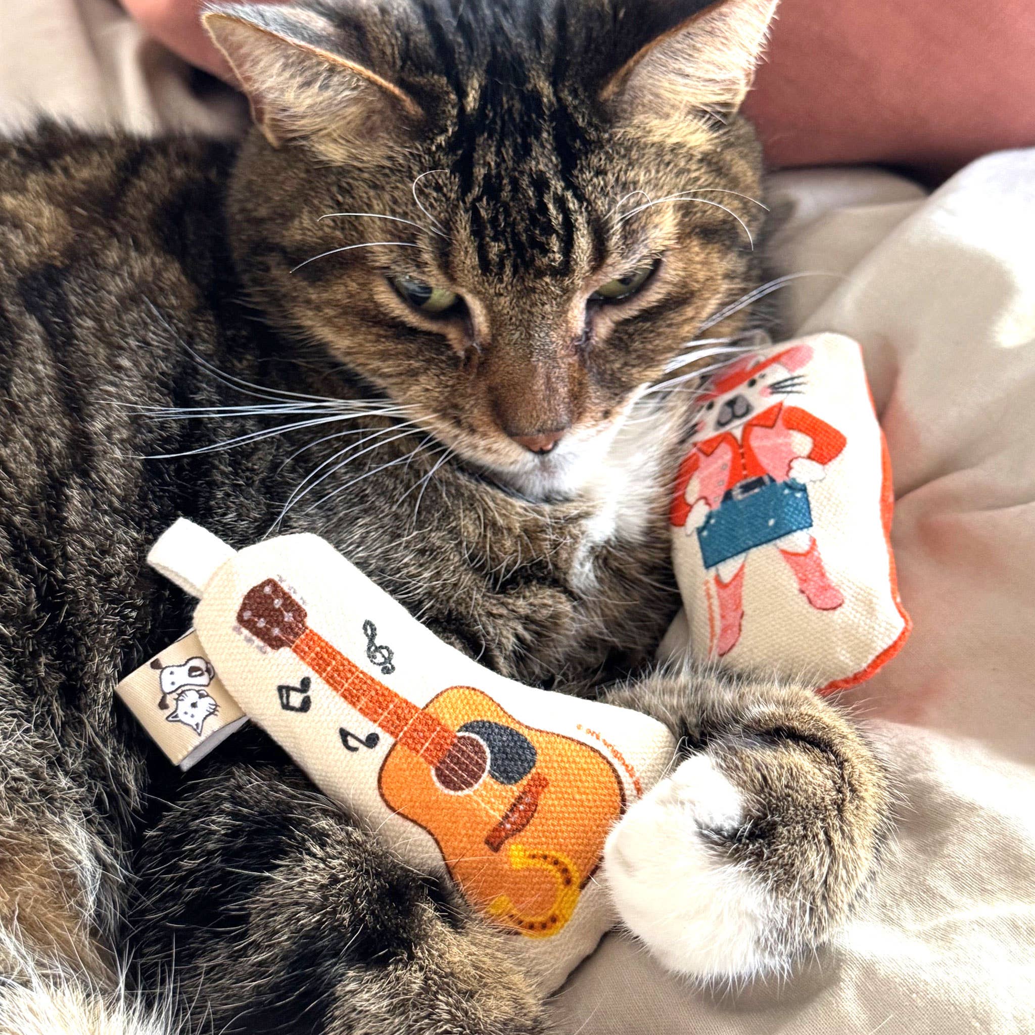 Speckle and Spot by Ore’ Originals - Wholesale Pet Toy Set - Cat - Go Kitty Go Cat Toy Set | Country Music Kitty1