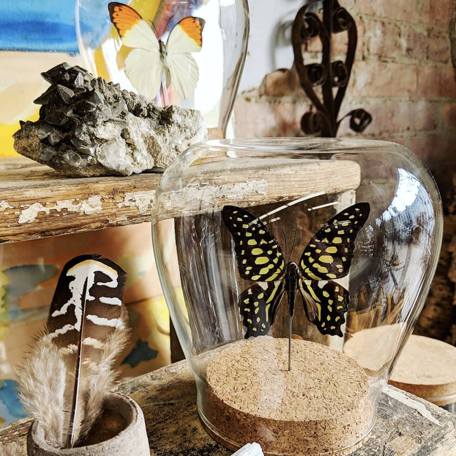 Green Beetle Shop - Wholesale Decorative Tabletop Object - Luna Moth Globe4