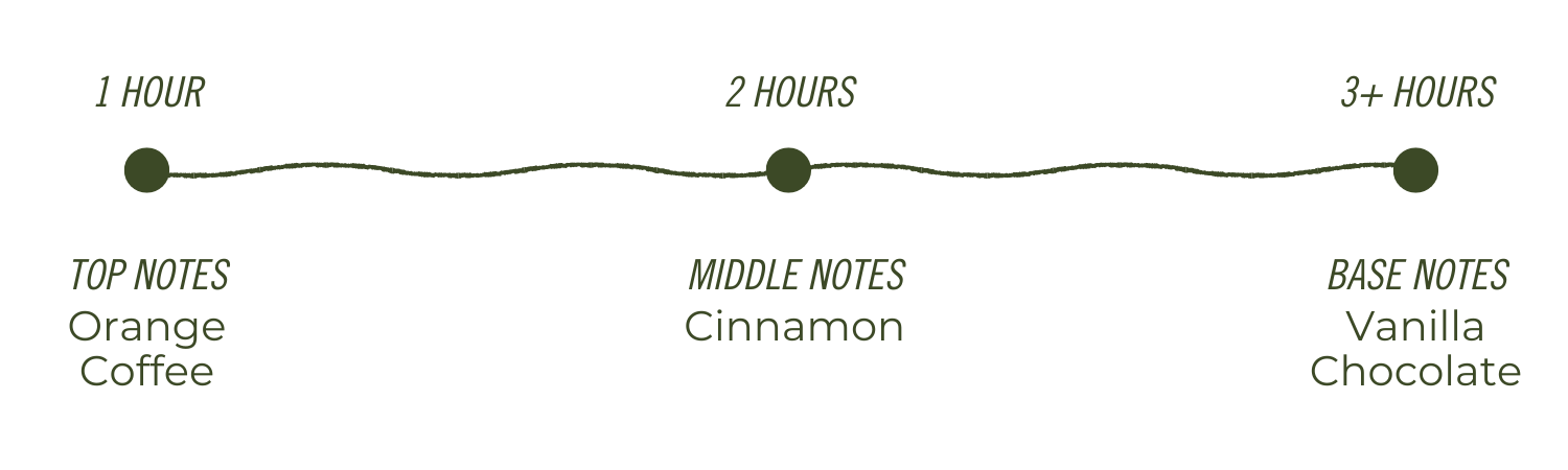 Temazcal Life® - Wholesale Travel Candles - Café de Olla Soy Candle Tin | Coffee Orange | 4 oz1