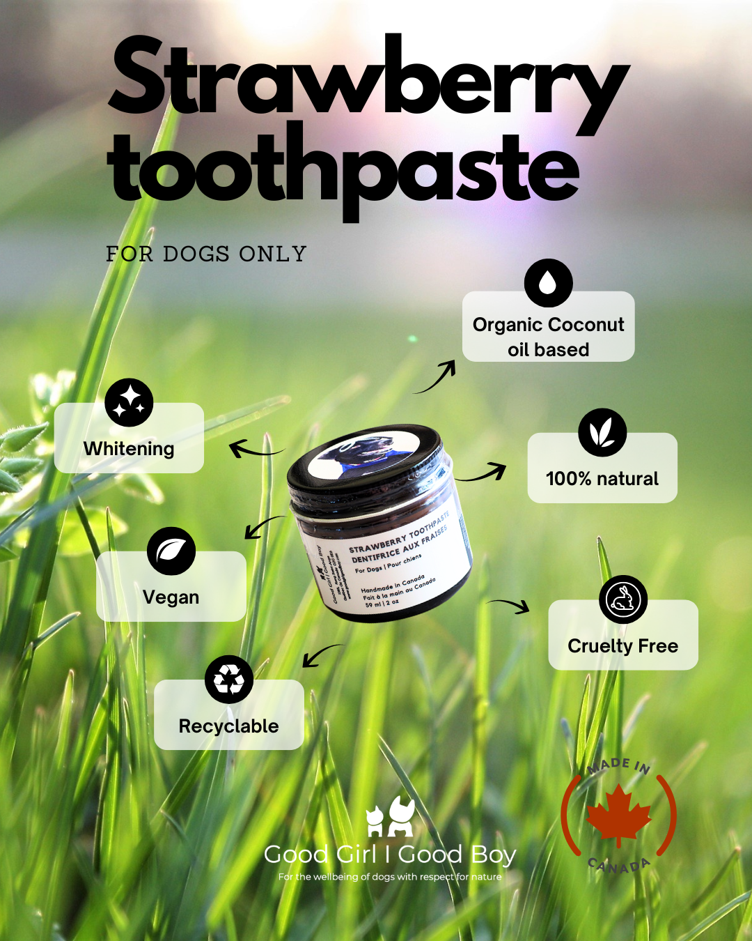 Good Girl Good Boy Inc. - Vente Dentifrice – chien - Dentifrice à l'huile de coco avec extrait de fruit - Fraise4