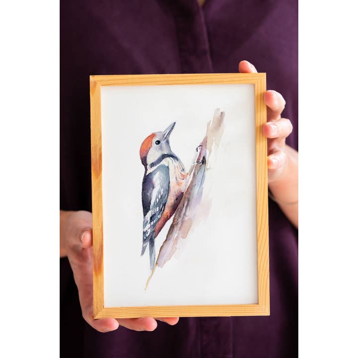 Pic épeiche A5 pour la vente par Veer illustratie