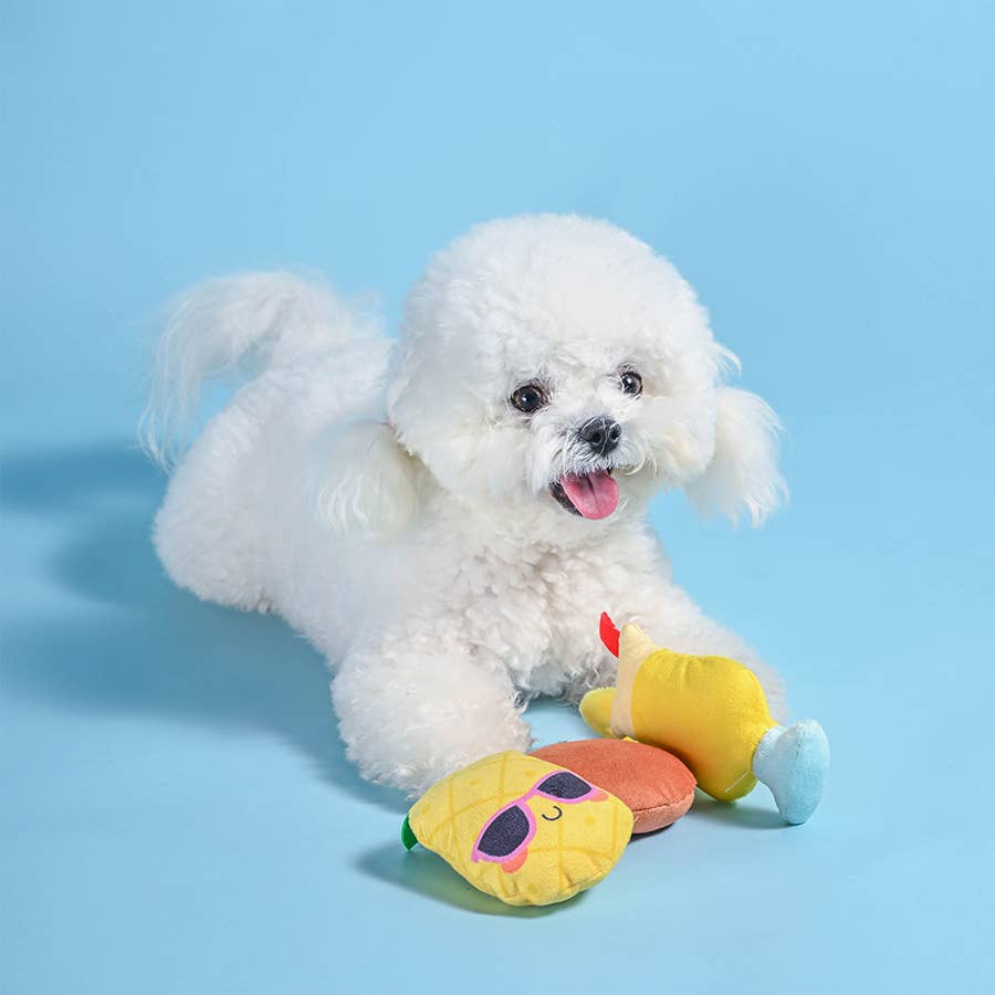 Hugsmart Products Inc - Wholesale Pet Squeaky Toy - Dog - HugSmart Pet - Food Party | Pina Cola - Dog Plush Toy3