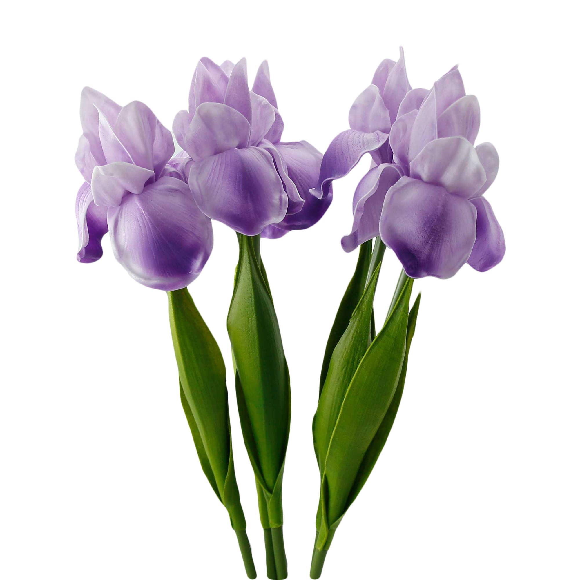 Angel Isabella - Wholesale Artificial Flowers - 18"-Ultra Soft Real Touch Bearded Iris Stem2