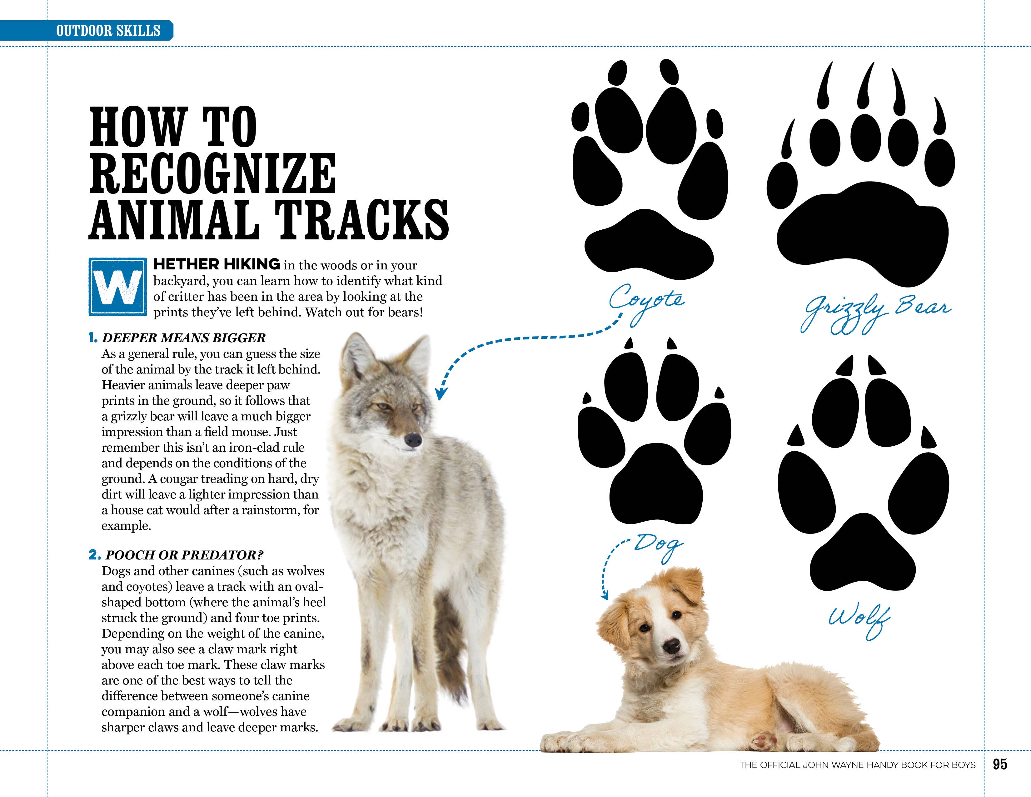 Topix Media Lab - Wholesale Nature & Outdoors Book - The Official John Wayne Handy Book For Boys1