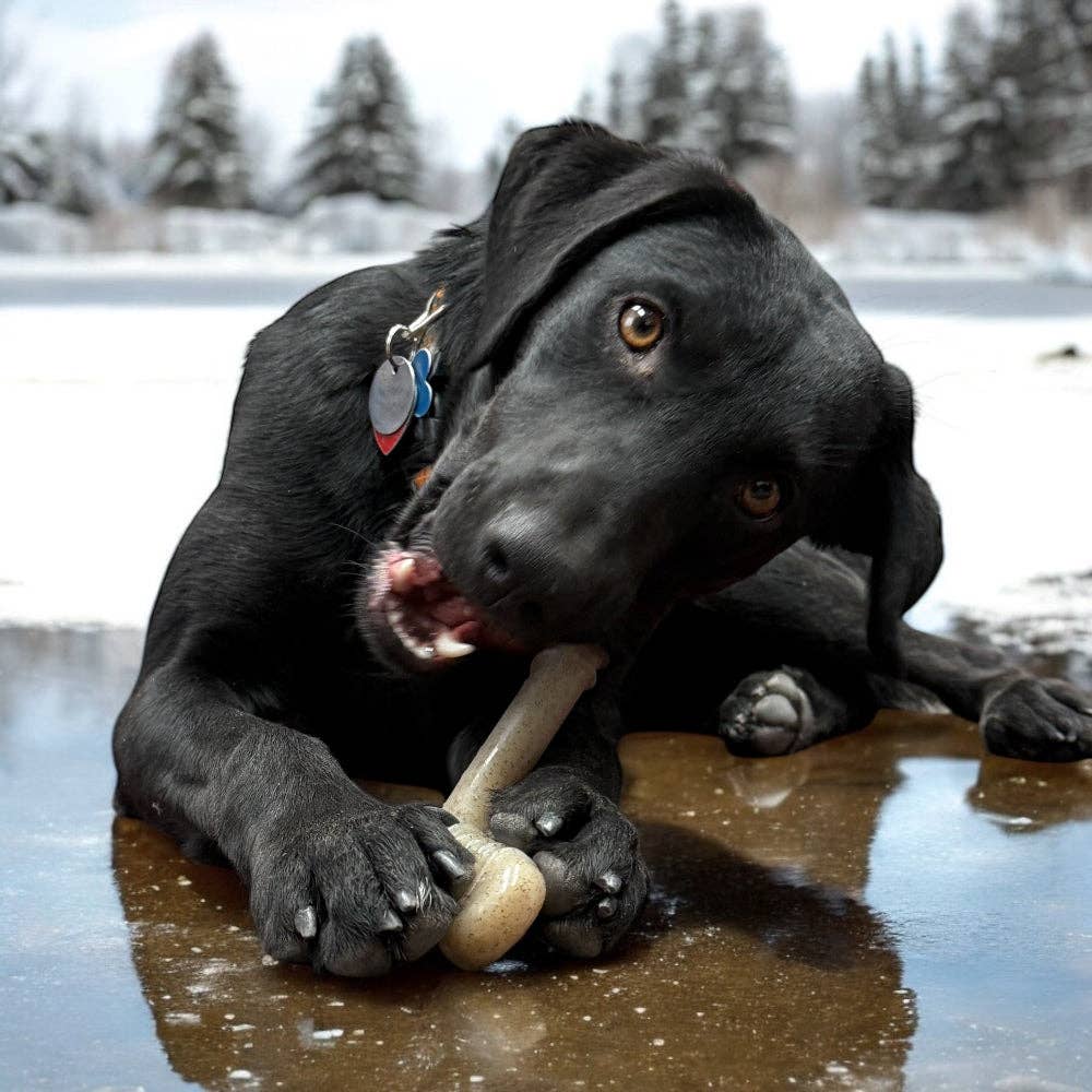 SodaPup Dog Toys - Wholesale Pet Chew Toy - Dog - Hockey Stick Durable Nylon Chew Toy  - Medium6