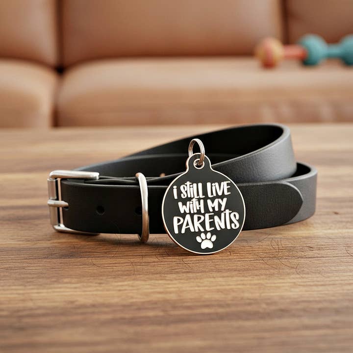 Bad Tags - Wholesale Pet identification tag – Cat/dog - Dog ID Tag with Personalized QR Code - Live with my Parents5