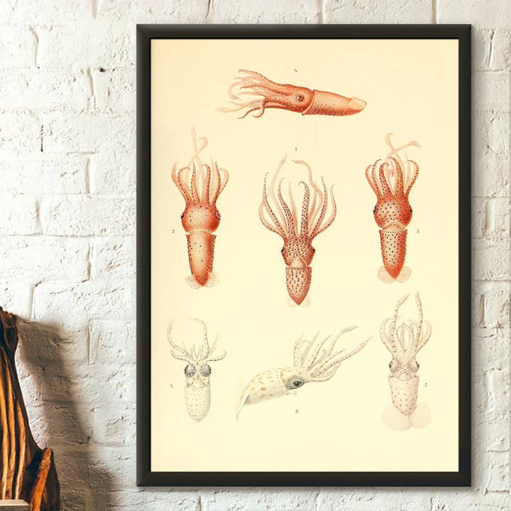 Octopus Sealife Marine Marine Nursery Decor Sea Life for wholesale by Vintage Wall Graphics