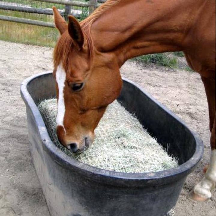 Kensington - Wholesale Pet Bowl - Cat/Dog - Slow Feed - Full Bale Freedom Feeder - Capacity: 3 String Bale