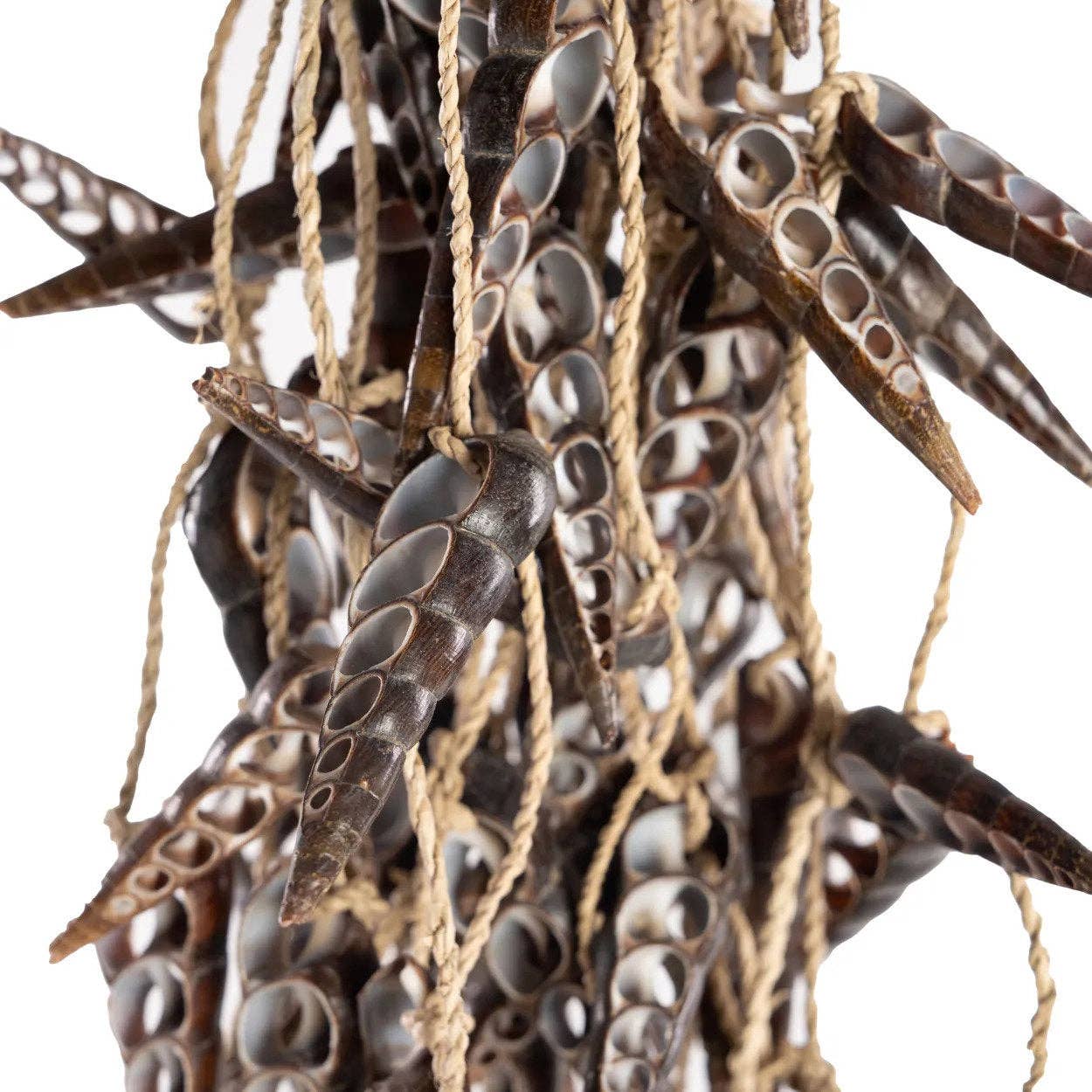 Bazar Bizar Living - Vente Pompons décoratifs/décorations murales - Glands en coquillages licorne - marron6