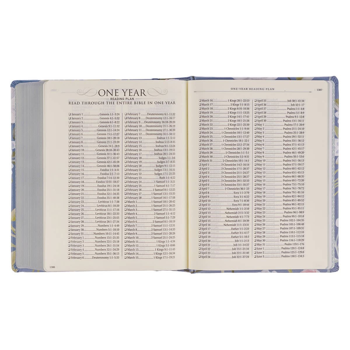 Christian Art Gifts - Wholesale Display Book - KJV Note-taking Bible HC Things Above Col. 3:28