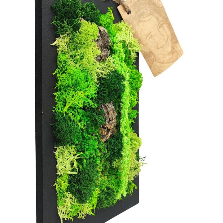 REMOVED BRAND - Wholesale Wall Accent - Rectangular Frame of Stabilized Moss and Lichens "Medusa's Moss" size 14.5x24.51