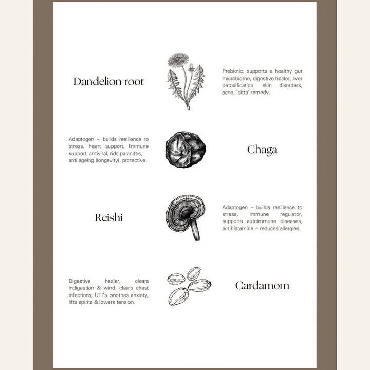 Palm of Feronia – wholesale Health/detox tea – Roots Café – caffeine-free mushroom & root coffee4