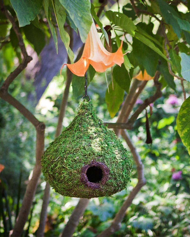 SuperMoss – Casa de pássaros por atacado – Raindrop Woven Birdhouse, Verde Fresco1