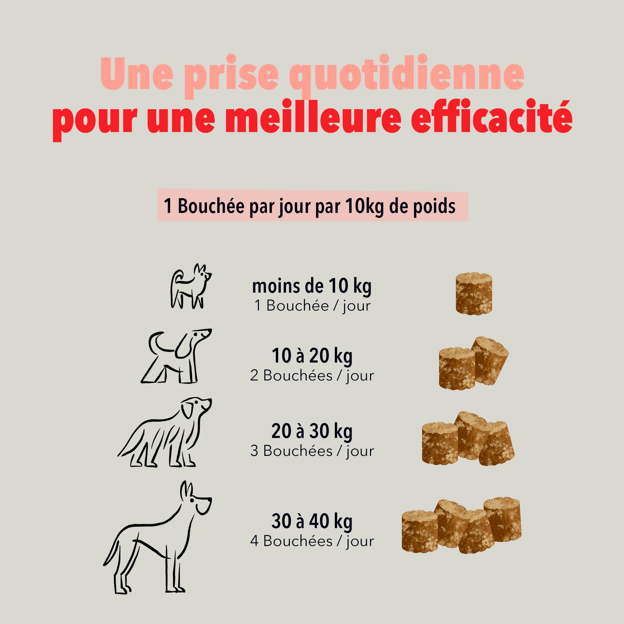 Delamour - Wholesale Pet Supplement - Dog - Les Bouchées - 90 chews to support Joints (270g)5