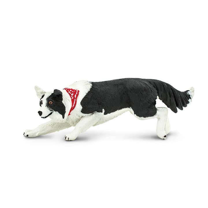 Safari LTD - Canada - Wholesale Figurine Toy - Kids - Border Collie - 254529