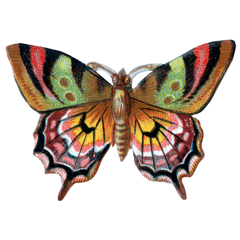 Laughing Elephant – Großhandel Aufkleber – Butterfly Box — Stickerbox für den täglichen Gebrauch25