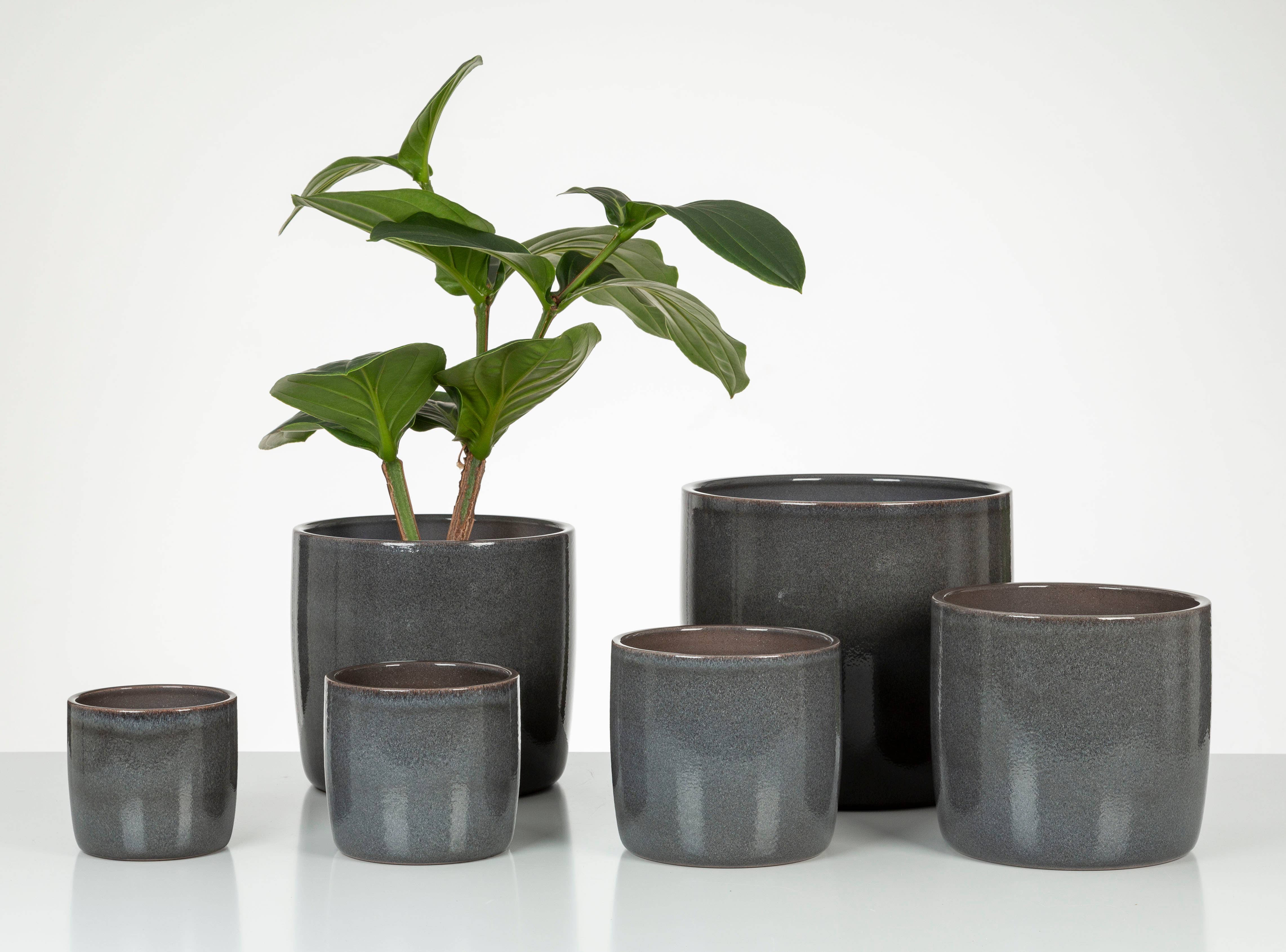 Scheurich – Großhandel Blumentopf – Blumentopf/Übertopf Solido 900 Mystic aus Keramik1