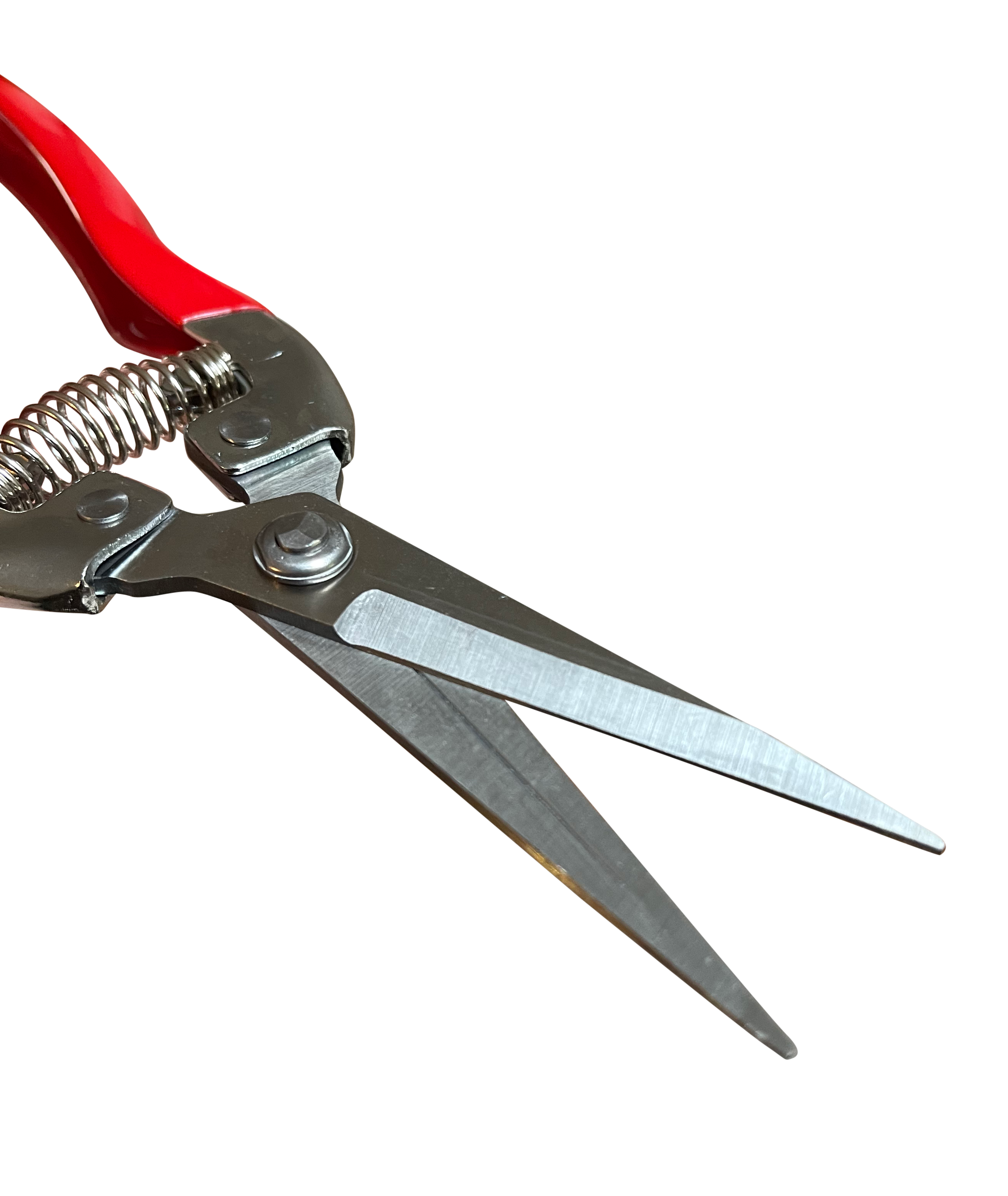 Garden Guru Lawn & Garden Tools - Wholesale Garden Tool - Garden Guru Stainless Steel Bonsai Pruner Shears Clippers2