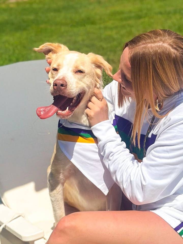 Cachecol Pet com listras brancas por atacado de Mardi Gras Creations