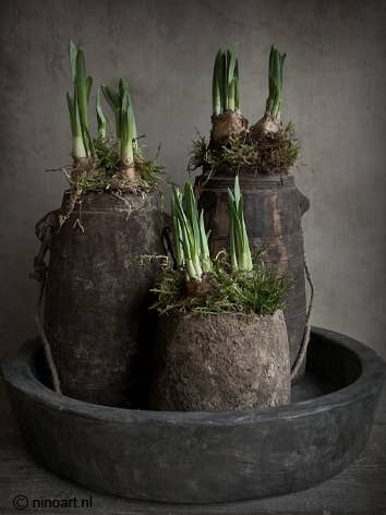 Houten deco bordje Vroege lente L05 voor wholesale door Nino-Art