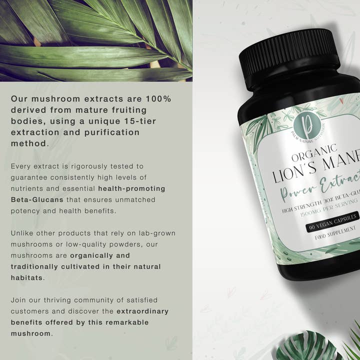 Palm Nature - Wholesale Oral Supplement/Vitamin - Organic Lions Mane Power Extract