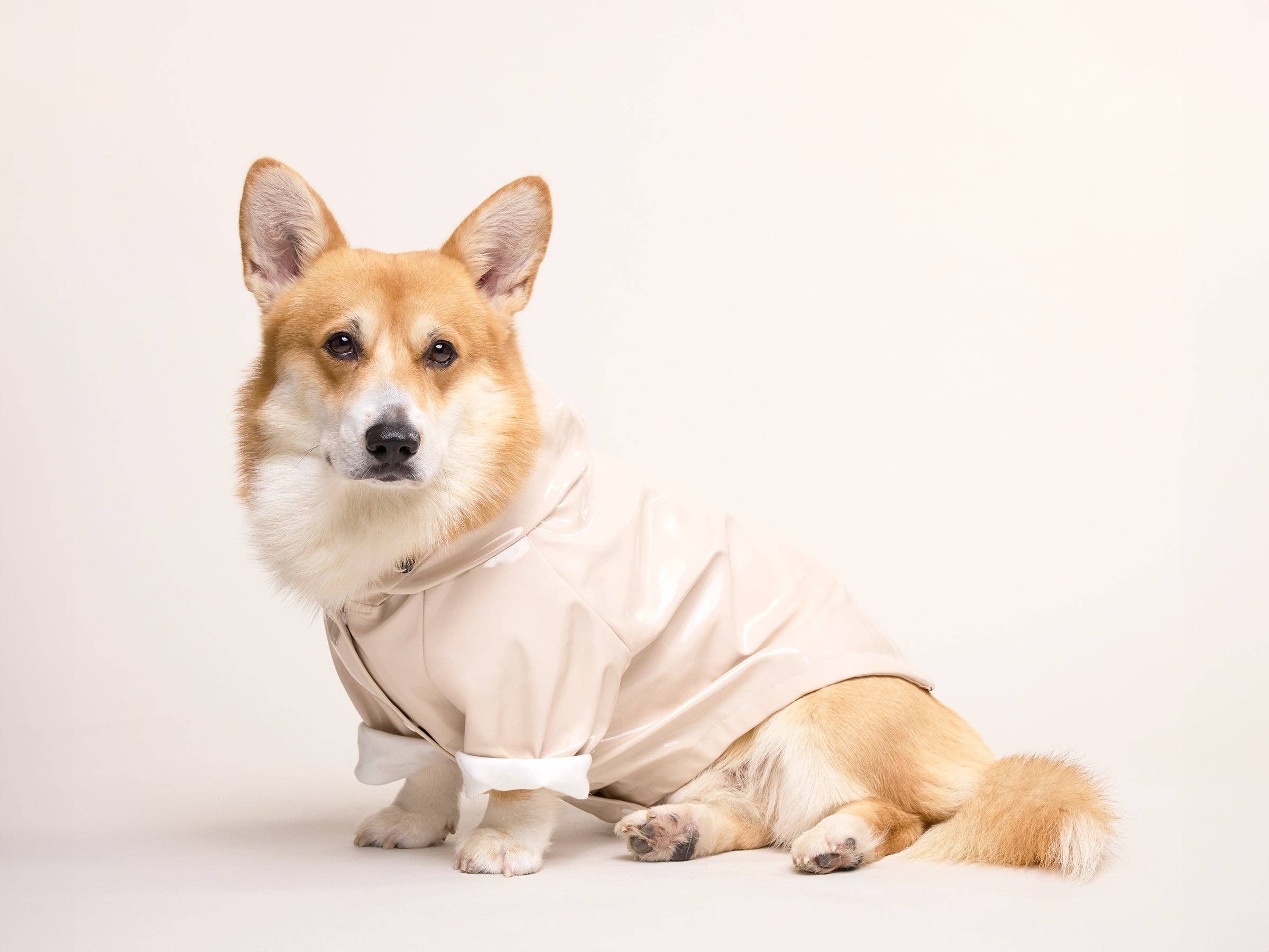 French Bandit - Wholesale Hondenregenjas - Hond - Crèmekleurige regenjas voor honden5