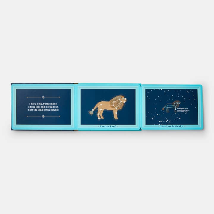Phaidon - Wholesale Book - Kids - Animals In The Sky