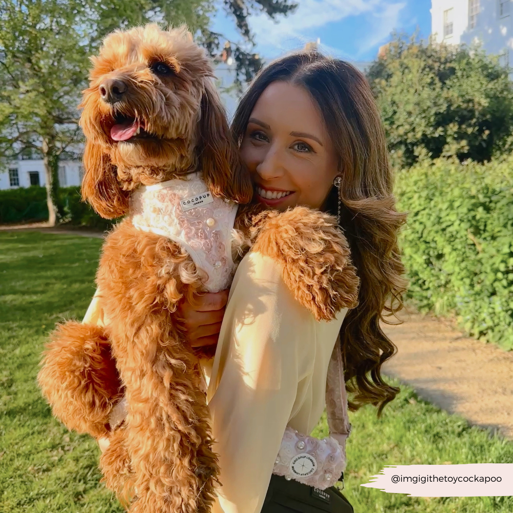 Cocopup London - Wholesale Tuig voor huisdieren - Hond - Cocopup London Pearly Pup verstelbare halsband voor honden17