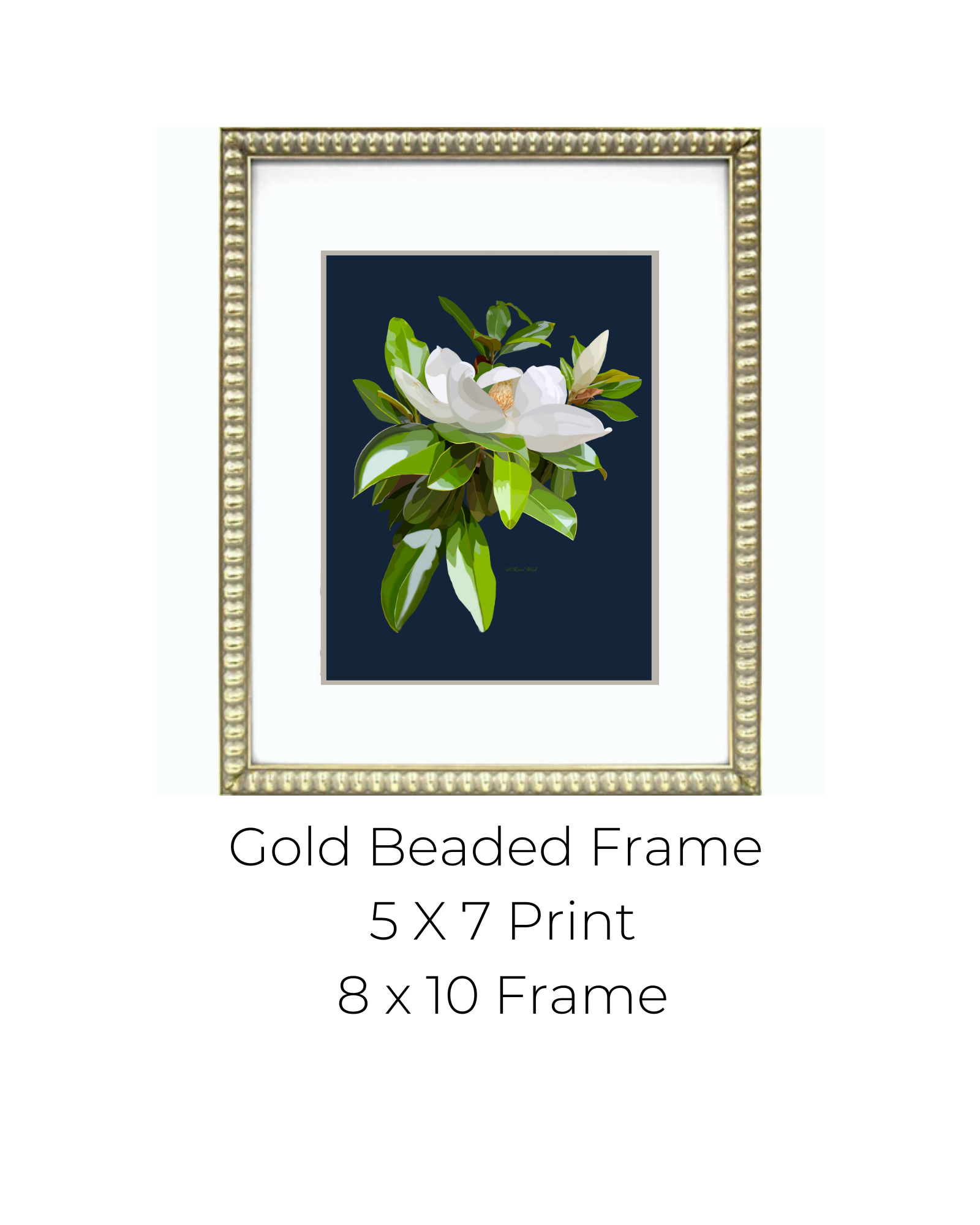 Homeward Studio - Vente Affiche d'art - Impression artistique Open Magnolia on Navy2