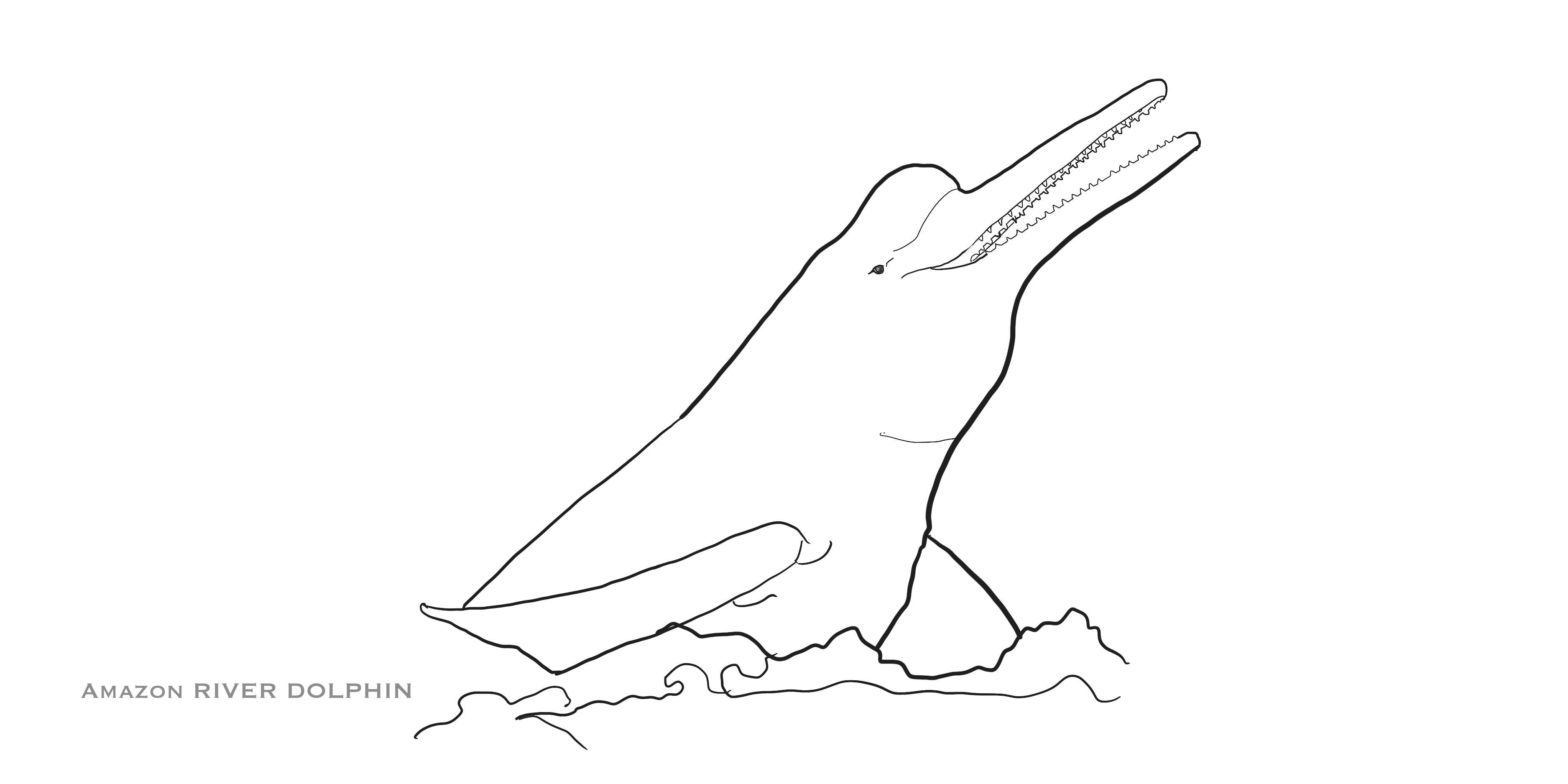 Love Kathleen Productions – Engroshandel Malebog - Børn og baby – Coloring Passport Dolphin Edition 1 Alder 5-12513