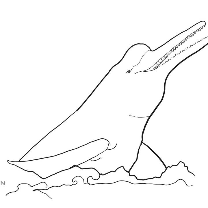 Love Kathleen Productions – Engroshandel Malebog - Børn og baby – Coloring Passport Dolphin Edition 1 Alder 5-12513