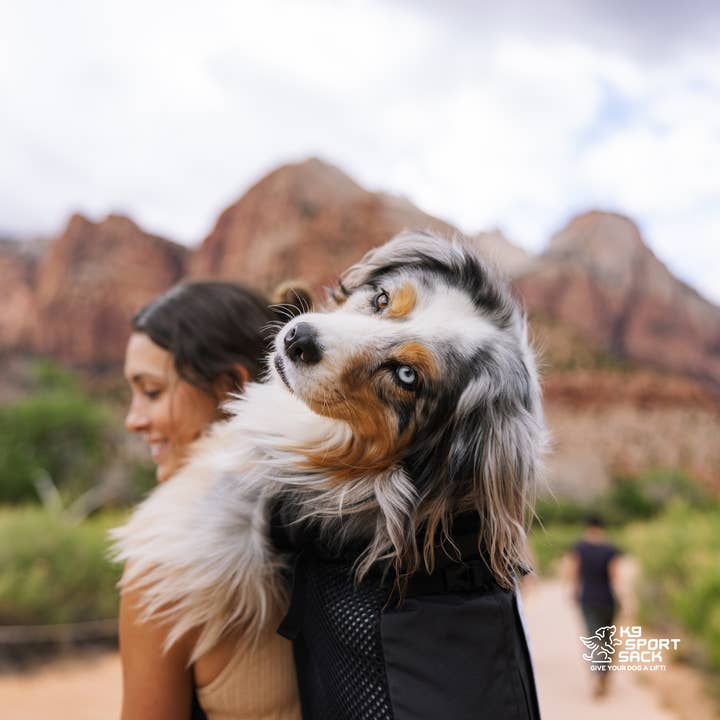 K9 Sport Sack - Venta al por mayor Transportín - Perros - Knavigate | Transportín avanzado para perros con estructura interna y cinturón lumbar16