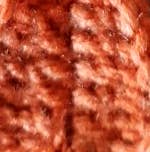 Clover Garden Crafts - Wholesale Dangle Earrings - Crochet Cat or Fat Bottomed Kitten Kitty Earrings 10