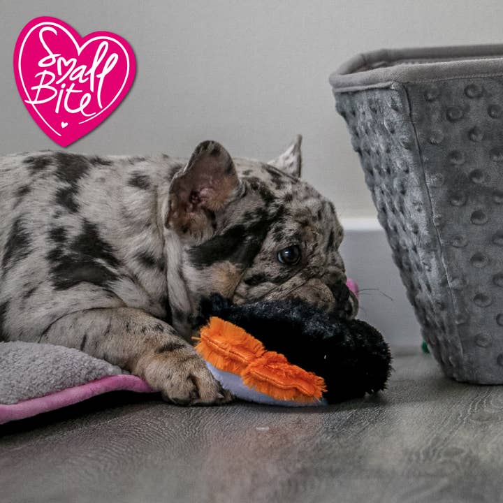 Ancol Pet Products Ltd - Wholesale Pet plush toy – Dog - Small Bite Plush Penguin1