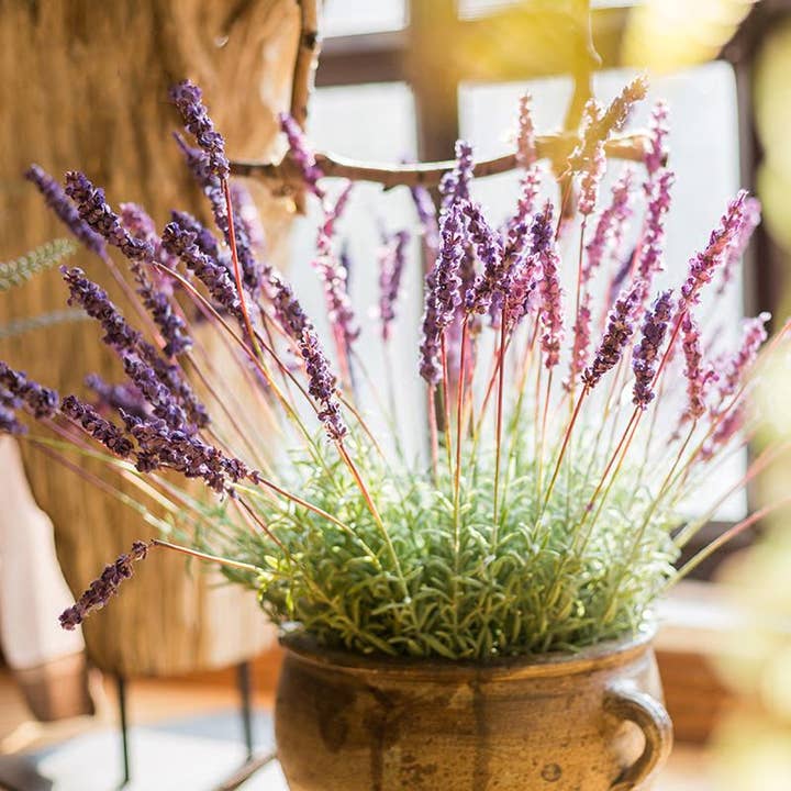 Rustic Reach - Wholesale Artificial Flowers - Artificial Lavender Provence Lavender Stem 21" Tall