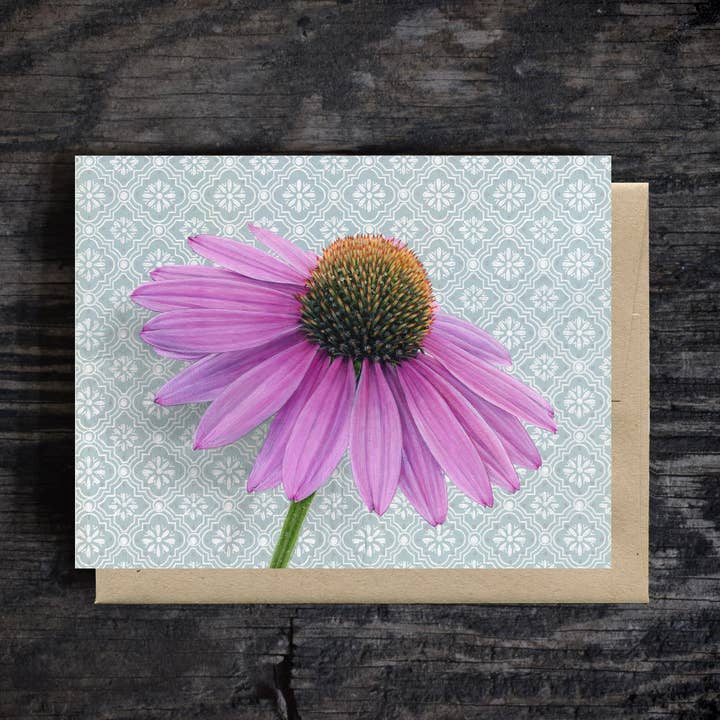 Rudbeckia - Echinacea - Obs kort för wholesale av Emily Uchytil