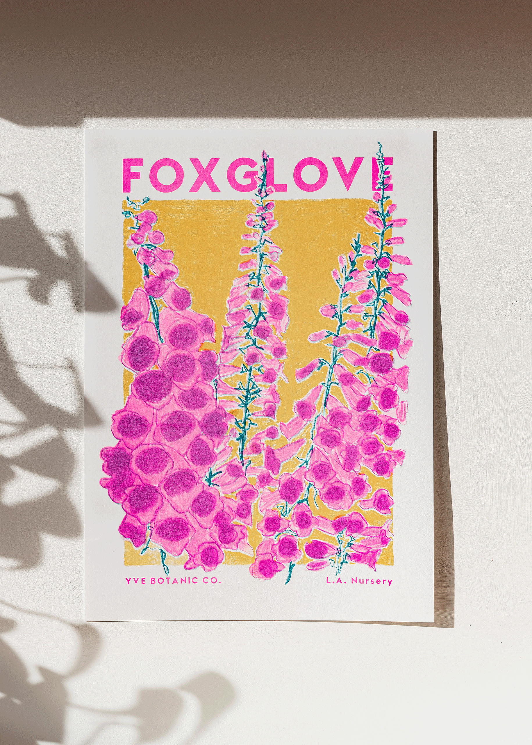 Eve Print Studio. - Wholesale Art Print - Foxglove Flower Risograph Print2