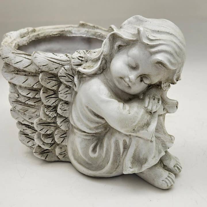 Planteur d'ange pour la vente par Green Pastures Wholesale