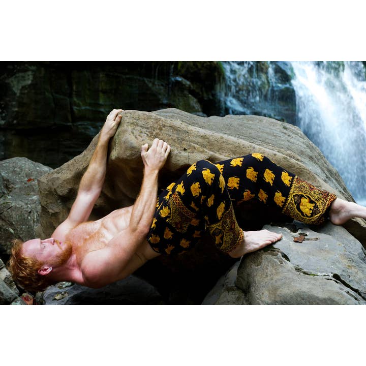 The Elephant Temple - Wholesale Pants - Women's - Golden Elephant Pants-Black1