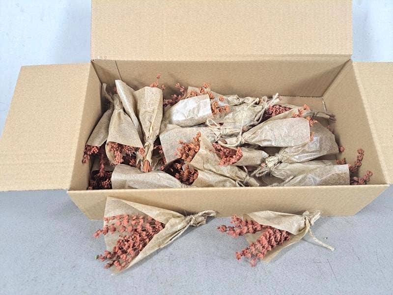 Dutch Flower Studio - Vente Fleur séchée/pressée - Lavande préservée - Mini bouquet de fleurs séchées4