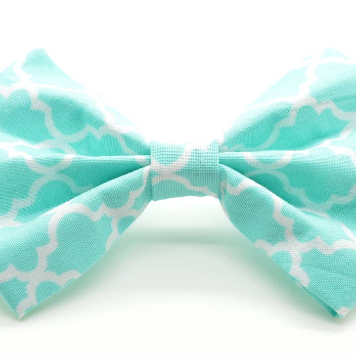 Nœud papillon Aqua Quatrefoil pour chien ou chat pour la vente par Dog Collar World