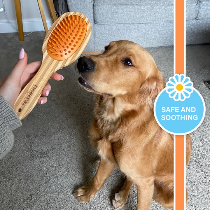 OurPetsLife - Wholesale Pet Brush - Cat/Dog - Bamboo Dog Brush
