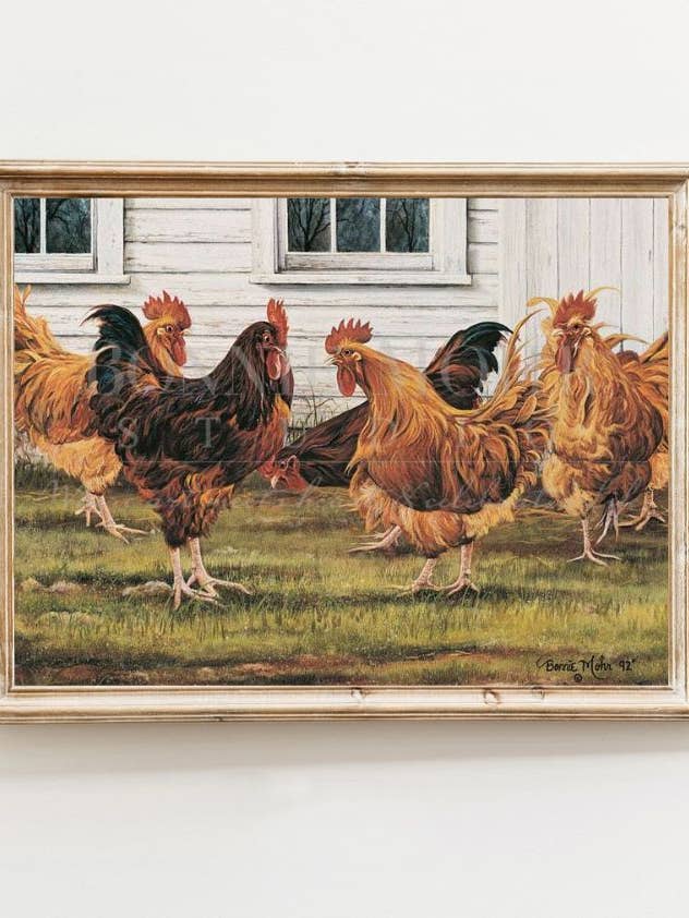 Cooster Coop pour la vente par Bonnie Mohr Studio