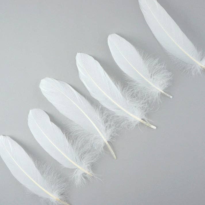 Zucker Feather Products - Wholesale Feathers - Goose Pallet Feathers 6-8" - 12 pc - White2